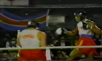 Lennox Lewis vs Vernon Linklater (Am…
